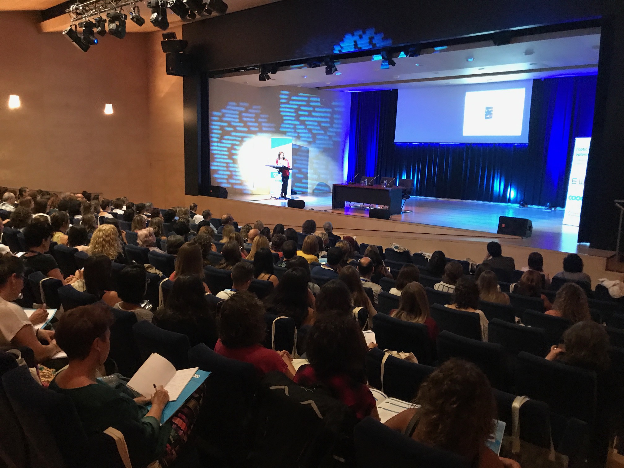 Les I Jornades Professionals en Visió i Educació, un èxit de participació